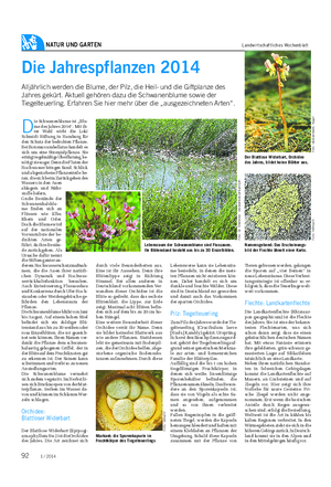 NATUR UND GARTEN Landwirtschaftliches Wochenblatt Die Jahrespflanzen 2014 Alljährlich werden die Blume, der Pilz, die Heil- und die Giftplanze des Jahres gekürt.