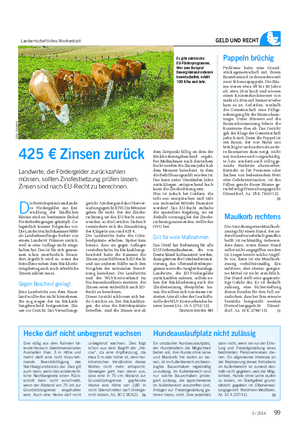 Landwirtschaftliches Wochenblatt GELD UND RECHT 425 € Zinsen zurück Landwirte, die Fördergelder zurückzahlen müssen, sollten Zinsfestsetzung prüfen lassen: Zinsen sind nach EU-Recht zu berechnen.