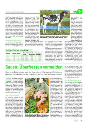 Landwirtschaftliches Wochenblatt TIER für rotbunte Topgenetik, der T-Fa- milie von Kösters aus Steinfurt.