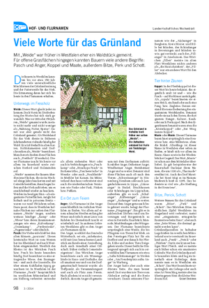 HOF- UND FLURNAMEN Landwirtschaftliches Wochenblatt Viele Worte für das Grünland Mit „Weide“ war früher in Westfalen eher ein Waldstück gemeint.