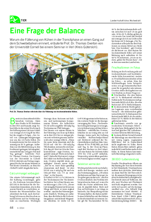TIER Landwirtschaftliches Wochenblatt B ereits trockenstehende Kühe brauchen Calcium.
