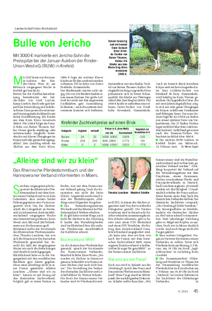 Landwirtschaftliches Wochenblatt Bulle von Jericho Mit 3000 € markierte ein Jericho-Sohn die Preisspitze bei der Januar-Auktion der Rinder- Union West eG (RUW) in Krefeld.