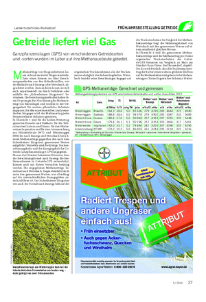 Landwirtschaftliches Wochenblatt FRÜHJAHRSBESTELLUNG GETREIDE die Trockensubstanz.