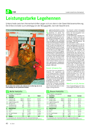 TIER Landwirtschaftliches Wochenblatt L egehennenherkünfte werden weltweit laufend züchterisch bearbeitet.