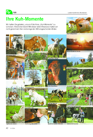 TIER Landwirtschaftliches Wochenblatt Ihre Kuh-Momente Wir hatten Sie gebeten, uns ein Foto Ihres „Kuh-Moments“ zu schicken.
