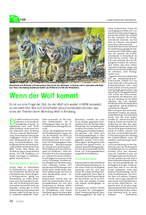 TIER Landwirtschaftliches Wochenblatt D ie Wölfe werden sich weiter ausbreiten in Deutschland.