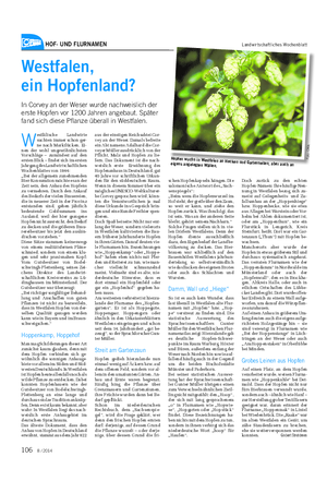 HOF- UND FLURNAMEN Landwirtschaftliches Wochenblatt Westfalen, ein Hopfenland?