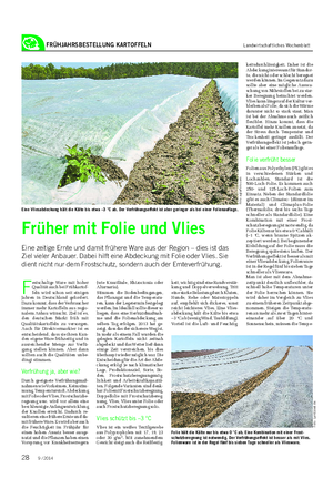 FRÜHJAHRSBESTELLUNG KARTOFFELN Landwirtschaftliches Wochenblatt F estschalige Ware mit hoher Qualität auch bei Frühkartof- feln wird schon seit einigen Jahren in Deutschland gefordert.