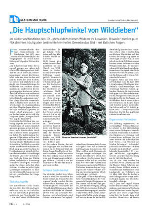 GESTERN UND HEUTE Landwirtschaftliches Wochenblatt „Die Hauptschlupfwinkel von Wilddieben“ Im südlichen Westfalen des 19.