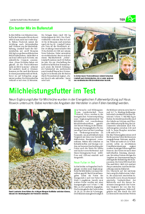 Landwirtschaftliches Wochenblatt TIER Ein bunter Mix im Bullenstall In den Ställen von Sebastian Linn- hoff in Bad Sassendorf (Kreis Soest) erblickt man nicht nur weiße Köp- fe.