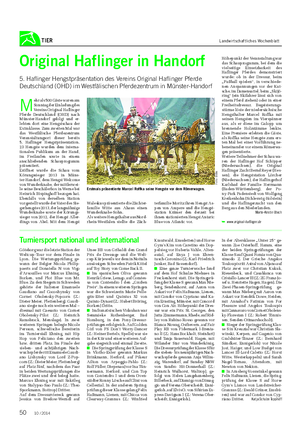 TIER Landwirtschaftliches Wochenblatt Original Haflinger in Handorf 5.