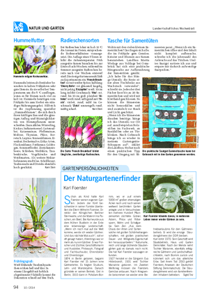 NATUR UND GARTEN Landwirtschaftliches Wochenblatt Frühlingsgruß: Weiß blühende Traubenhyazin- then wirken hell und klar.