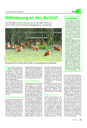 Landwirtschaftliches Wochenblatt TIER Anforderung an den Auslauf Das Management des Auslaufes war ein wichtiges Thema auf der 18.