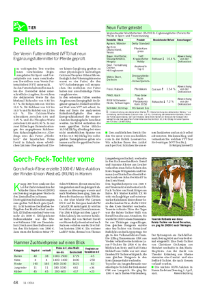 TIER K napp 300 Tiere umfasste das Lot der Zuchtviehauktion der Rinder-Union West eG (RUW) am Dienstag vergangener Woche in den Zentralhallen in Hamm.