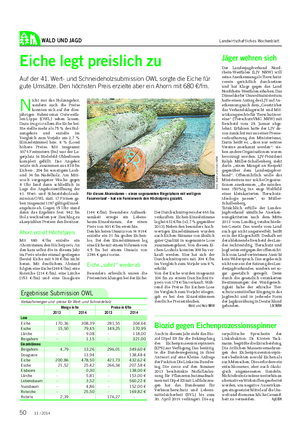 WALD UND JAGD Landwirtschaftliches Wochenblatt Eiche legt preislich zu Auf der 41.