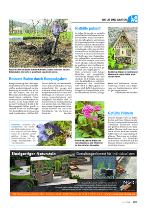 Landwirtschaftliches Wochenblatt NATUR UND GARTEN Blütenbild: Lenzrosen sind wunderschön.