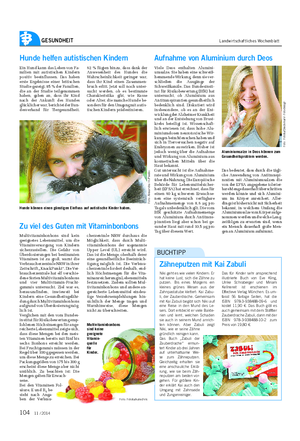 GESUNDHEIT Landwirtschaftliches Wochenblatt 11 / 2014 Hunde helfen autistischen Kindern Ein Hund kann das Leben von Fa- milien mit autistischen Kindern positiv beeinflussen.