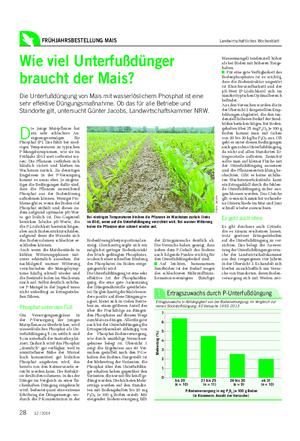 FRÜHJAHRSBESTELLUNG MAIS Landwirtschaftliches Wochenblatt Wie viel Unterfußdünger braucht der Mais?