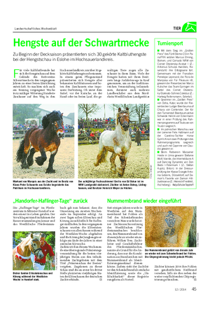 Landwirtschaftliches Wochenblatt TIER Hengste auf der Schwartmecke Zu Beginn der Decksaison präsentierten sich 30 gekörte Kaltbluthengste bei der Hengstschau in Eslohe im Hochsauerlandkreis.