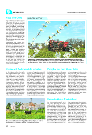NACHRICHTEN Landwirtschaftliches Wochenblatt Rübenernte zu Frühlingsbeginn?