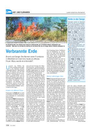 HOF- UND FLURNAMEN Landwirtschaftliches Wochenblatt U nweit von Wüllen bei Ahaus im Münsterland gibt es ein Feldstück namens „Verbrand Lieftucht“.