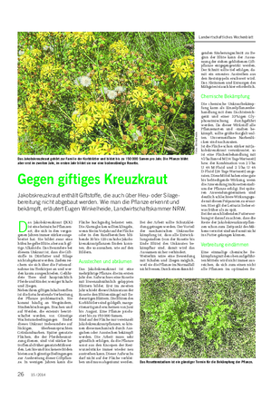 PFLANZE Landwirtschaftliches Wochenblatt D as Jakobskreuzkraut (JKK) ist eine heimische Pflanzen- art, die sich in den vergan- genen Jahren immer stärker ausge- breitet hat.