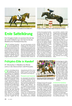 TIER Landwirtschaftliches Wochenblatt Z wölf Kandidaten bewarben sich um das Körprädikat bei der ersten Westfälischen Sat- telkörung im Pferdezentrum.