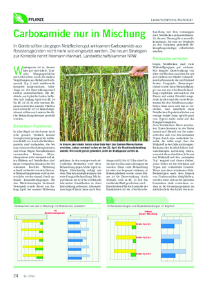 PFLANZE Landwirtschaftliches Wochenblatt W intergerste ist in diesem Jahr gut entwickelt.