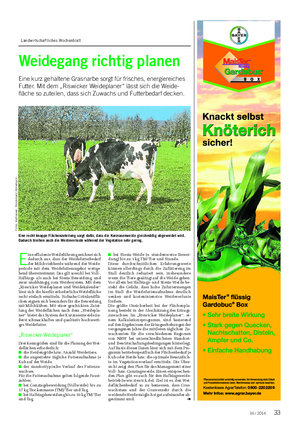Landwirtschaftliches Wochenblatt Weidegang richtig planen Eine kurz gehaltene Grasnarbe sorgt für frisches, energiereiches Futter.