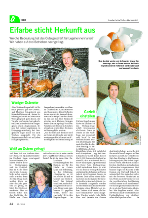 TIER Landwirtschaftliches Wochenblatt Eifarbe sticht Herkunft aus Welche Bedeutung hat das Ostergeschäft für Legehennenhalter?