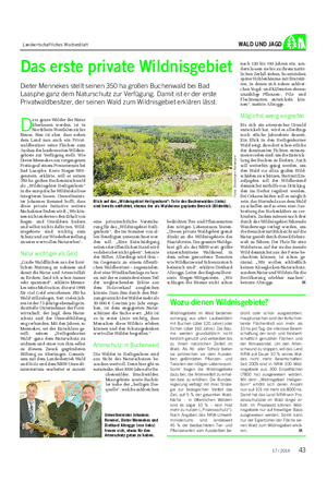 Landwirtschaftliches Wochenblatt WALD UND JAGD Das erste private Wildnisgebiet Dieter Mennekes stellt seinen 350 ha großen Buchenwald bei Bad Laasphe ganz dem Naturschutz zur Verfügung.