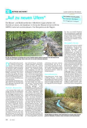 BETRIEB UND MARKT Landwirtschaftliches Wochenblatt „Auf zu neuen Ufern“ Die Wasser- und Bodenverbände in Westfalen-Lippe arbeiten mit Hochdruck daran, die Gewässer im Sinne der Wasserrahmenrichtlinie (WRRL) naturnah zurückzubauen.