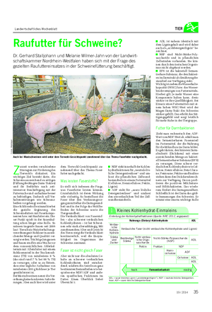 Landwirtschaftliches Wochenblatt TIER Z urzeit werden verschiedene Strategien zur Förderung des Tierwohls diskutiert.