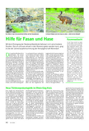 WALD UND JAGD Landwirtschaftliches Wochenblatt Hilfe für Fasan und Hase Mit dem Rückgang der Niederwildbestände befassen sich verschiedene Studien.