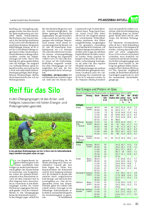 Landwirtschaftliches Wochenblatt PFLANZENBAU AKTUELL Reif für das Silo In den Übergangslagen ist das Acker- und Feldgras inzwischen mit hohen Energie- und Proteingehalten geerntet.