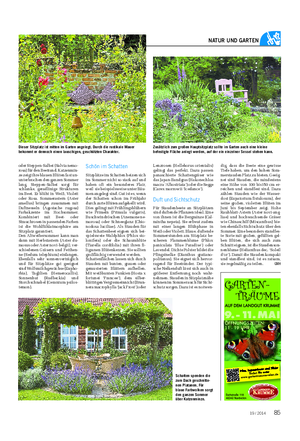 Landwirtschaftliches Wochenblatt NATUR UND GARTEN oder Steppen-Salbei (Salvia nemo- rosa) für den Beetrand.