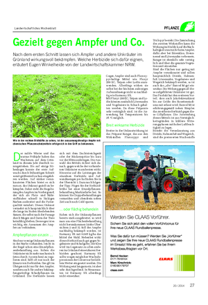 Landwirtschaftliches Wochenblatt PFLANZE Triclopyr besteht.