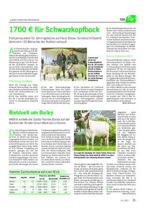 Landwirtschaftliches Wochenblatt TIER D ie Nachfrage aus dem heimi- schen Gebiet bestimmte die Auktion der Rinder-Uni- on-West eG (RUW) am Dienstag vergangener Woche in Hamm.