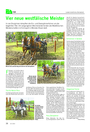 TIER Landwirtschaftliches Wochenblatt Vier neue westfälische Meister In vier Disziplinen kämpften die Ein- und Zweispännerfahrer um die begehrten Titel.