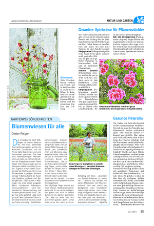 Landwirtschaftliches Wochenblatt NATUR UND GARTEN D ie schwäbische Stadt Mös- singen ist weithin bekannt für ihre bunt blühenden Sommerblumenwiesen auf den öf- fentlichen Grünflächen.