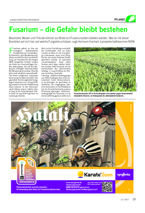 Landwirtschaftliches Wochenblatt PFLANZE F usarium gehört zu den am wenigsten kalkulierbaren Krankheiten im Getreidebau.