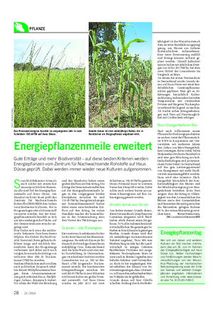 PFLANZE Landwirtschaftliches Wochenblatt Energiepflanzenmeile erweitert Gute Erträge und mehr Biodiversität – auf diese beiden Kriterien werden Energiepflanzen vom Zentrum für Nachwachsende Rohstoffe auf Haus Düsse geprüft.