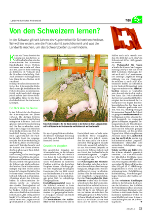 Landwirtschaftliches Wochenblatt TIER Von den Schweizern lernen?