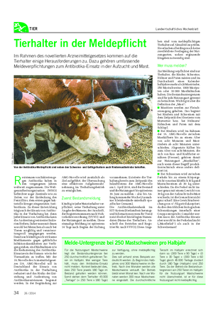 TIER Landwirtschaftliches Wochenblatt Tierhalter in der Meldepflicht Im Rahmen des novellierten Arzneimittelgesetzes kommen auf die Tierhalter einige Herausforderungen zu.
