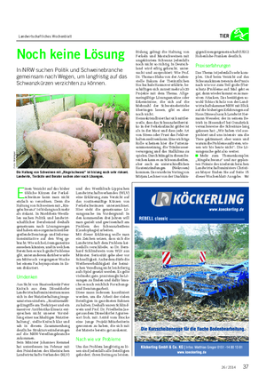 Landwirtschaftliches Wochenblatt TIER Noch keine Lösung In NRW suchen Politik und Schweinebranche gemeinsam nach Wegen, um langfristig auf das Schwanzkürzen verzichten zu können.