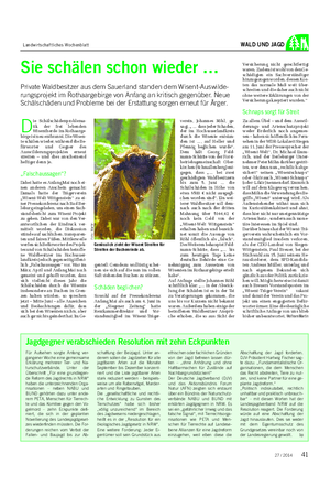 Landwirtschaftliches Wochenblatt WALD UND JAGD Sie schälen schon wieder … Private Waldbesitzer aus dem Sauerland standen dem Wisent-Auswilde- rungsprojekt im Rothaargebirge von Anfang an kritisch gegenüber.