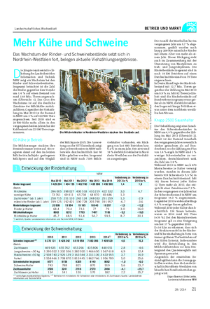 Landwirtschaftliches Wochenblatt BETRIEB UND MARKT Mehr Kühe und Schweine Das Wachstum der Rinder- und Schweinebestände setzt sich in Nordrhein-Westfalen fort, belegen aktuelle Viehzählungsergebnisse.