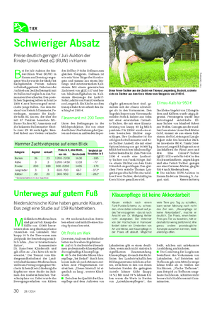 TIER Landwirtschaftliches Wochenblatt M ilchkühe in Niedersachsen sind gut zu Fuß.