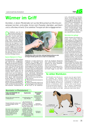 Landwirtschaftliches Wochenblatt TIER Würmer im Griff Die Zeiten, in denen Pferdehalter sich auf die Wirksamkeit von Wurmkuren verlassen konnten, sind vorbei.