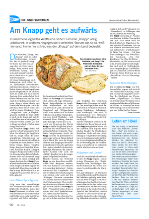 HOF- UND FLURNAMEN Landwirtschaftliches Wochenblatt Am Knapp geht es aufwärts In manchen Gegenden Westfalens ist der Flurname „Knapp“ völlig unbekannt, in anderen hingegen stark verbreitet.